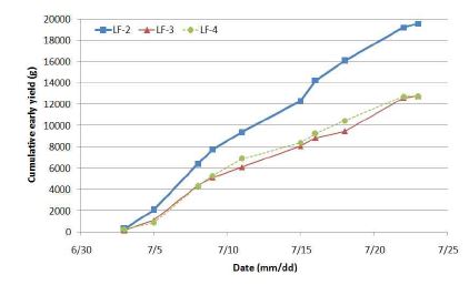 Cumulative yield(g) of the sum of the 1st and 2nd cluster of the grafted cherry tomato with the different scion ages.