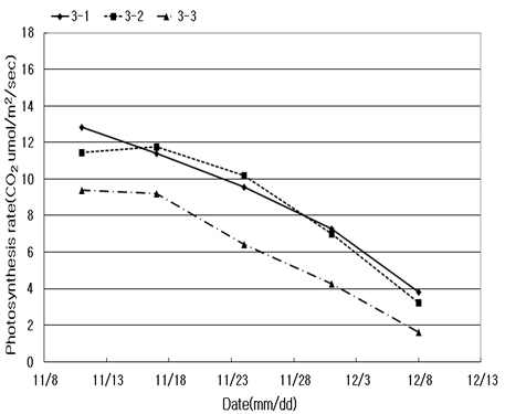 Changes in the photosynthetic rates of the leaves below the 3rd cluster. In the legend, 3-1 shows the leaf right below the cluster. Light intensity: 1000μmol·m-2·sec-1, CO2 concentration: 400ppm