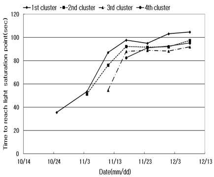 Time to reach to the light saturation point. In the legend, 1st cluster shows the average from 3 leaves below 1st cluster. Light intensity: 1000μmol·m-2·sec-1, CO2 concentration: 400ppm