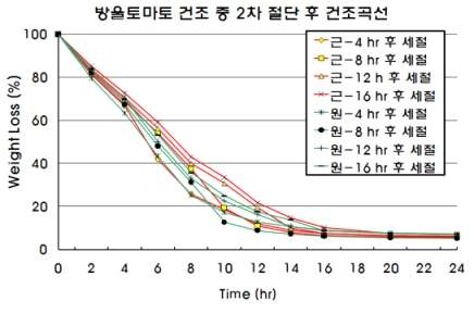 블랜칭을 실시하지 않은 방울토마토의 건조 중 2차 세절 후 건조수율