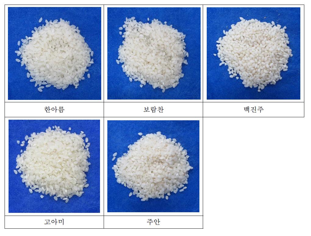 쌀 품종별 사진