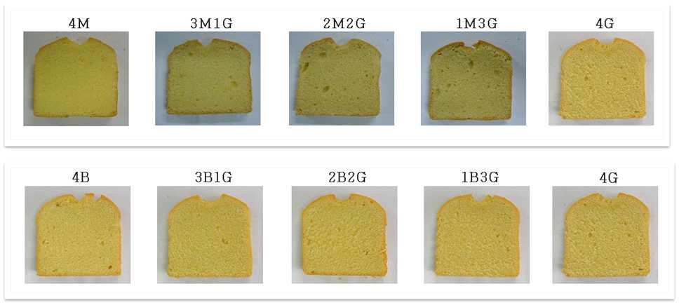 Cross section of rice poundcake with different ratio of milled rice flour (MRF), brown rice flour (BRF) and germinated brown rice flour (GBRF), 3M1G means the ratio of MRF versus GBRF was 3:1.