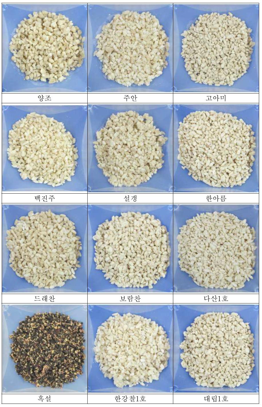 쌀 품종별 입국 사진