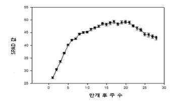 SPAD값을 이용한 엽색변화