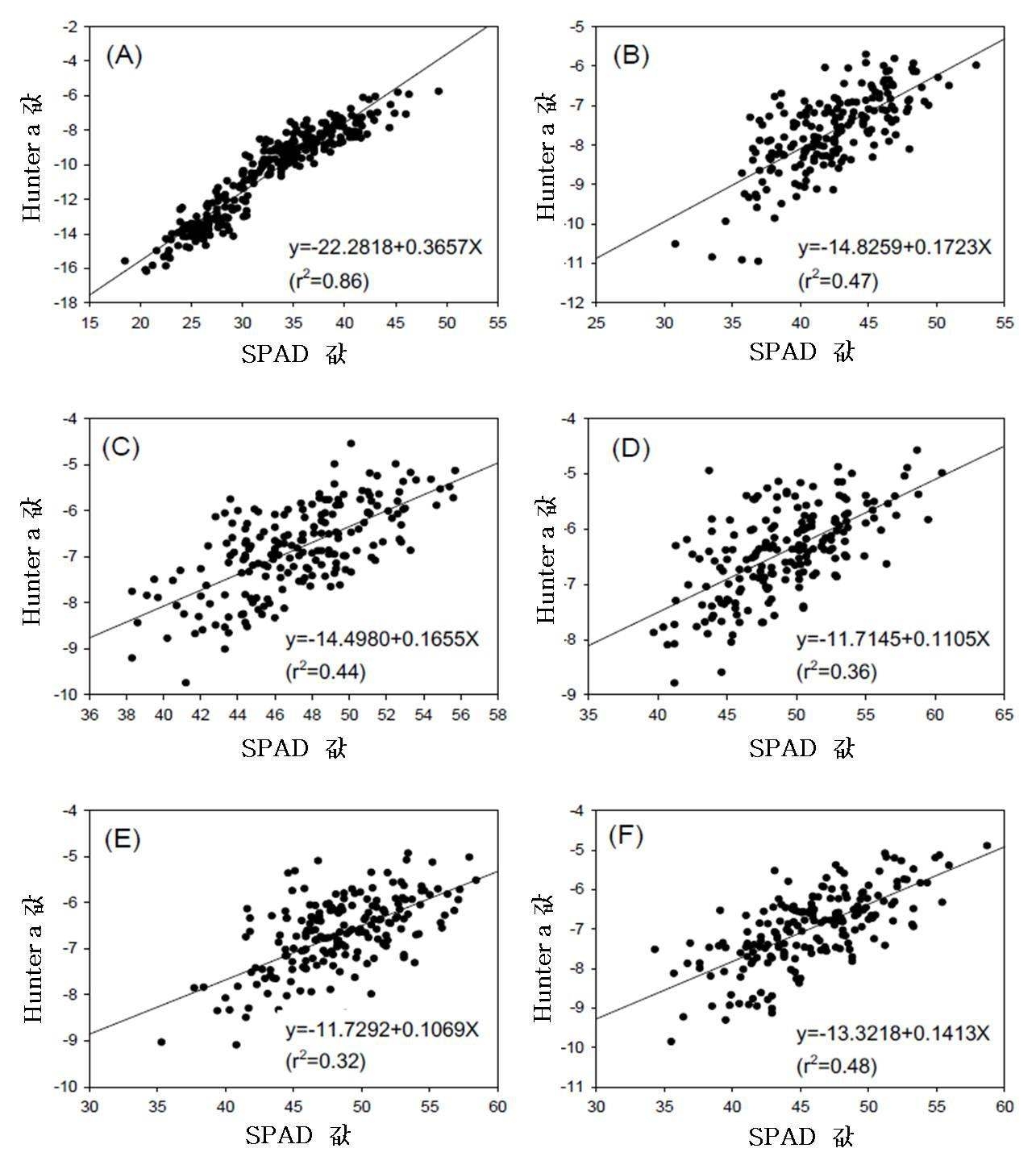 생육기 엽록소함량(SPAD)와 Hunter a값 상관관계