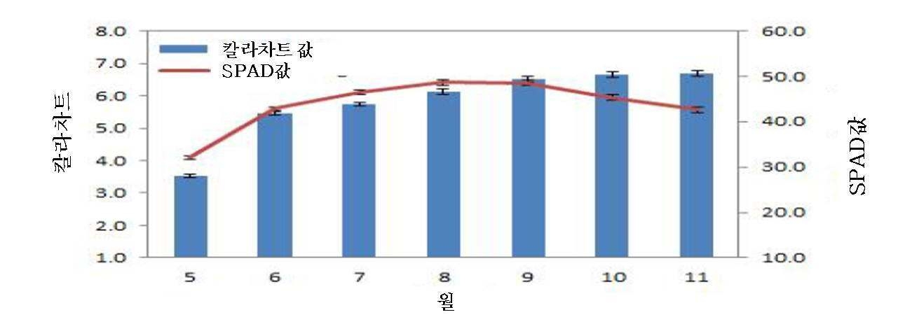 시기별 SPAD 값과 Color chart 값의 비교 분석