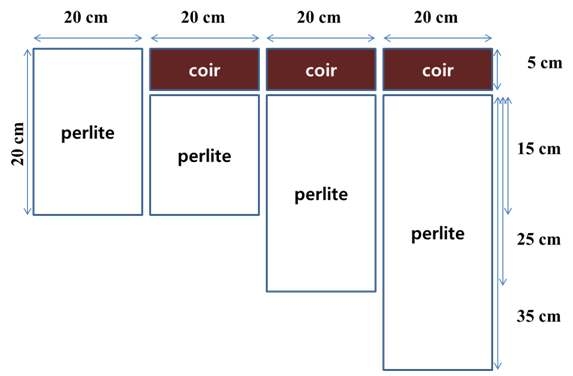 코이어와 펄라이트를 이용한 장미 배지의 모식도