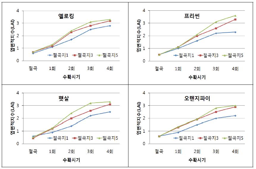 스프레이 절화장미 수경재배시 절곡지량에 따른 절곡지 엽면적 변화