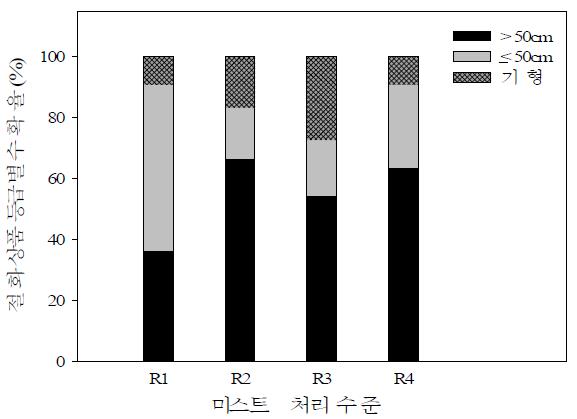 미스트 처리별 절화품질 비교. 수확된 절화장미의 길이에 따라 50cm초과, 50cm이하, 그리고 기형 절화 순으로 상품등급 구분