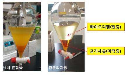 콩기름 유래 바이오디젤의 제조과정 및 바이오디젤 부산물 획득방법