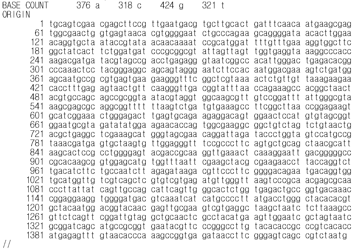 Lactobacillus brevis NJ13 16S rRNA gene partial sequences