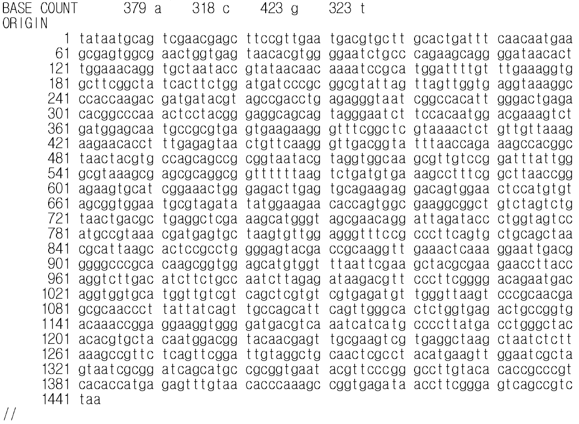 Lactobacillus brevis NJ14 16S rRNA gene partial sequences