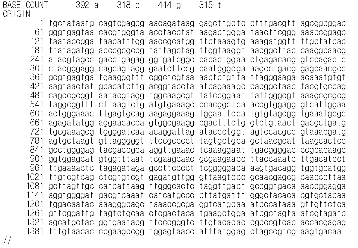 Staphylococcus xylosus NJ15 16S rRNA gene partial sequences