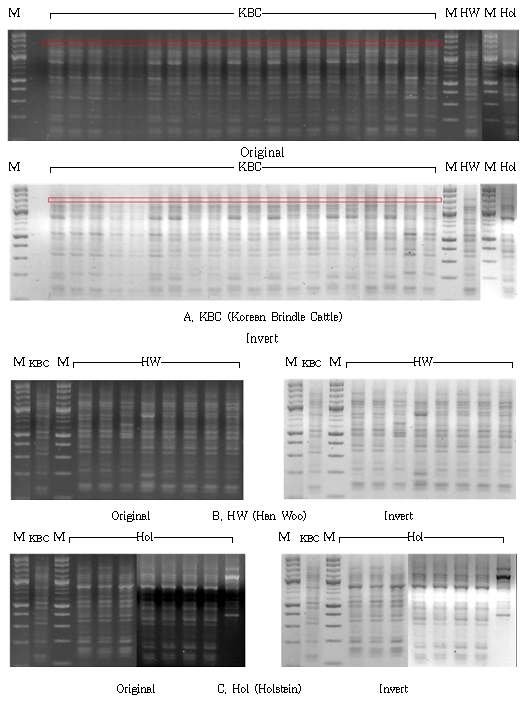 Difference Analysis of R8P Gene in the sample type.