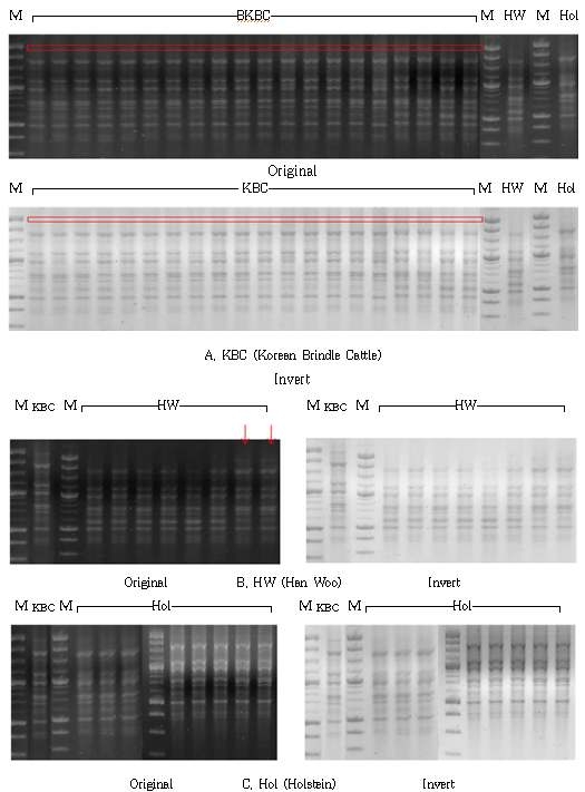 Difference Analysis of R9B Gene in the sample type