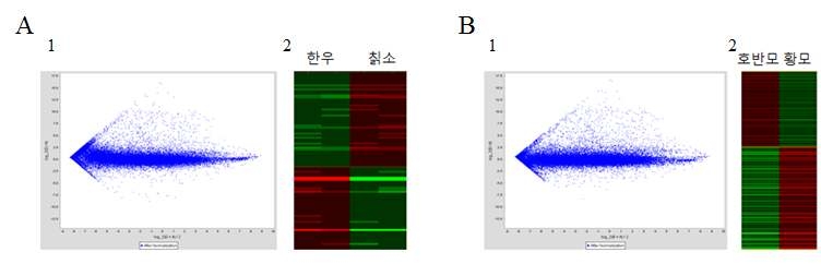 Microarray analysis of Korean brindly cattle and hanwoo. A : Hanwoo VS. korean brindly cattle, B : Brindly coat VS. Y ellow, 1) MA Plot , 2) Hierarchical clustering