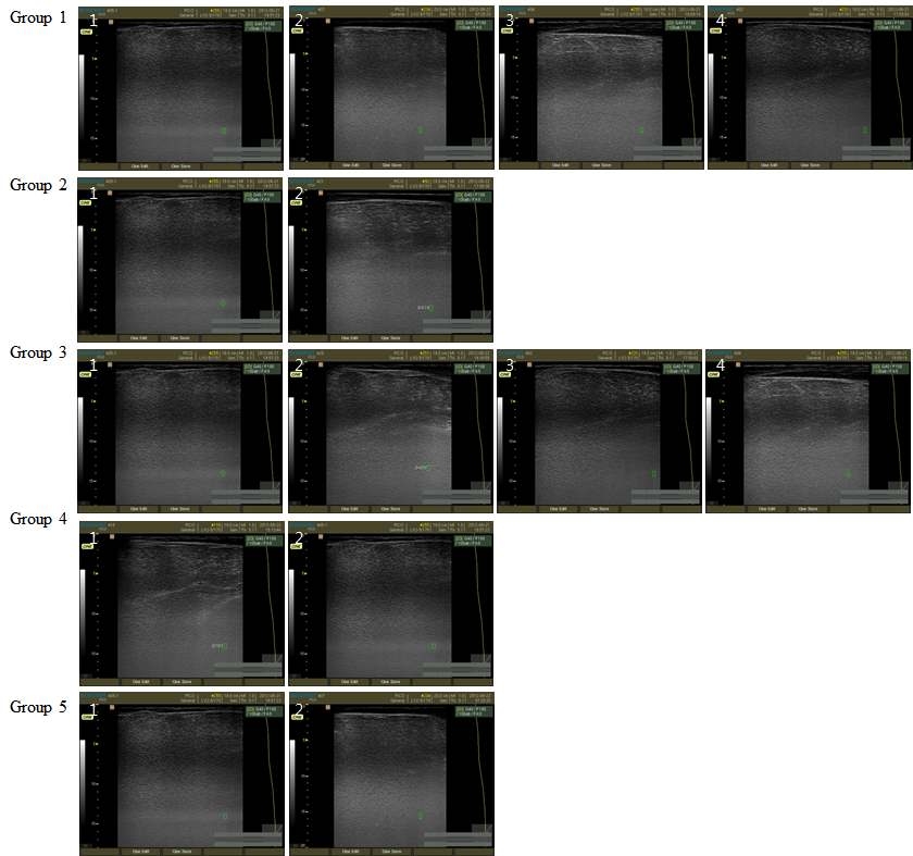 Ultrasonography analysis of offspring