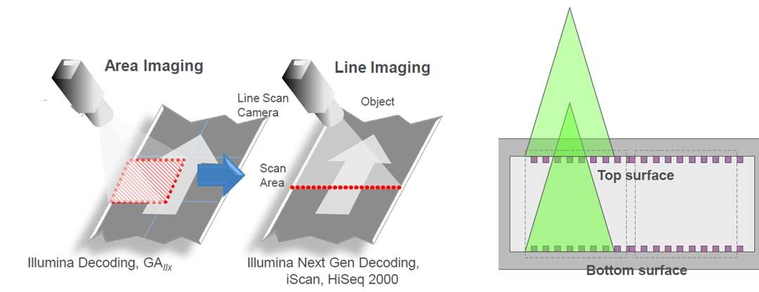 왼쪽그림의 경우 A IIx에서의 이미지 스캔 방법과 HiSeq200에서 채용한 line scanning. 오른쪽은 dual surface imaging의 개념도