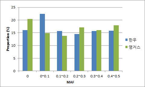 한우와 앵거스의 SNP에 대한 minor allele frequency (MAF) 분포도