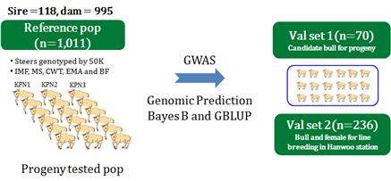 Reference and validation set for genomic selection trials.