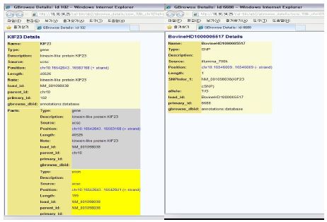 gBrowser - Candidate gene and its adjecent SNP