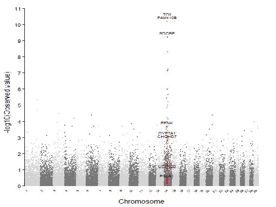 Genome wide candidate gene mapping