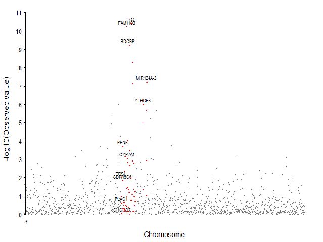 Candidate gene mapping on BTA14