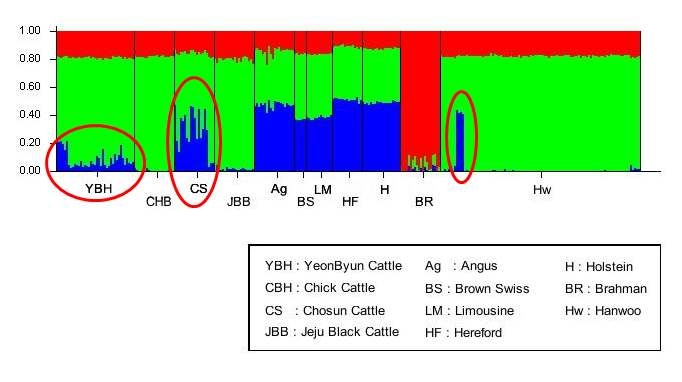 소 품종간 유전적 다양성 분석