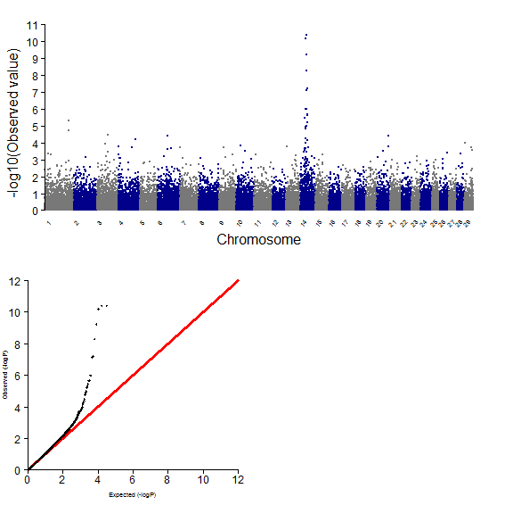 GWAS plot for CWT using 50K chip