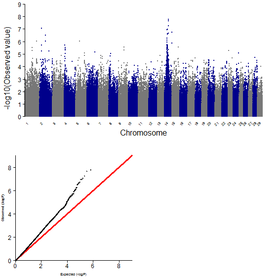 GWAS plot for CWT using 700K chip