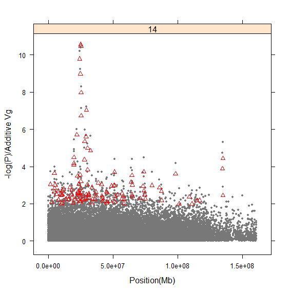 Genetic variance for CWT on BTA14 using LDLA