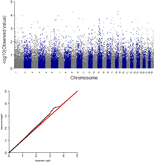 GWAS plot for EMA using 50K chip