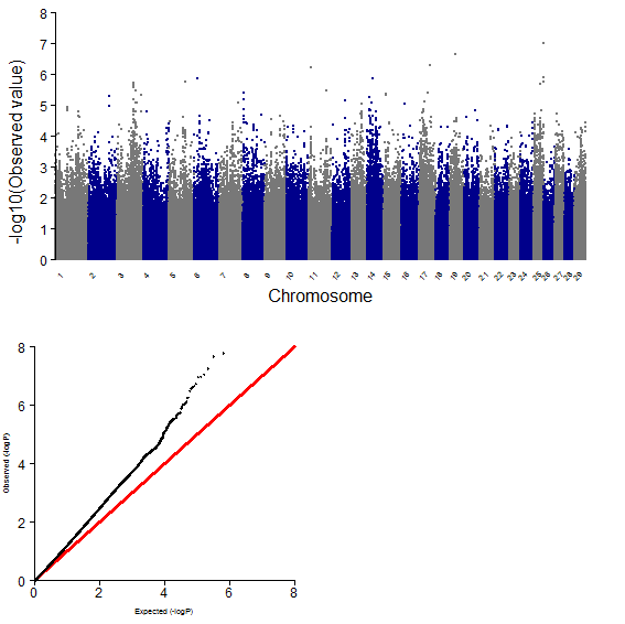 GWAS plot for EMA using 700K chip