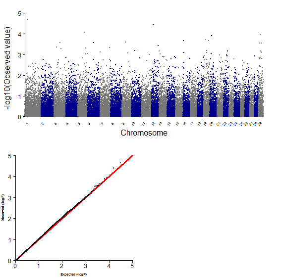 GWAS plot for MS using 50K chip