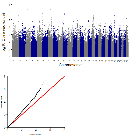 GWAS plot for MS using 700K chip