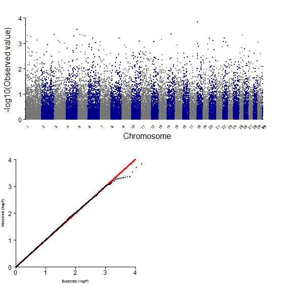 GWAS plot for BF using 50K chip