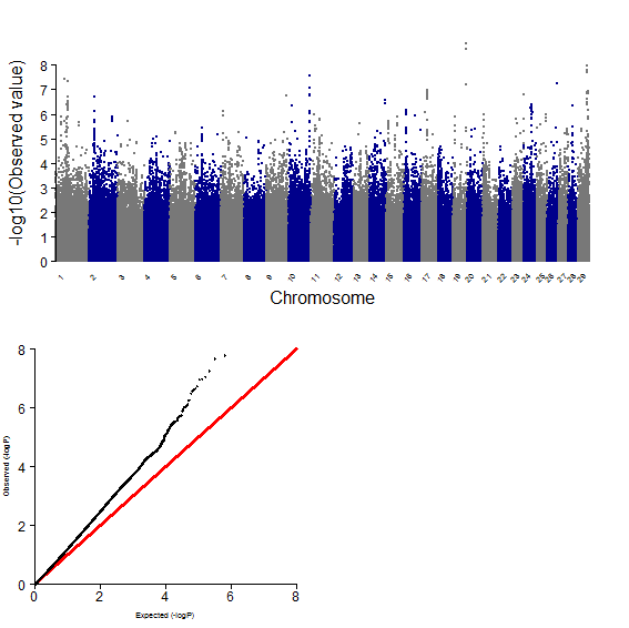 GWAS plot for BF using 700K chip