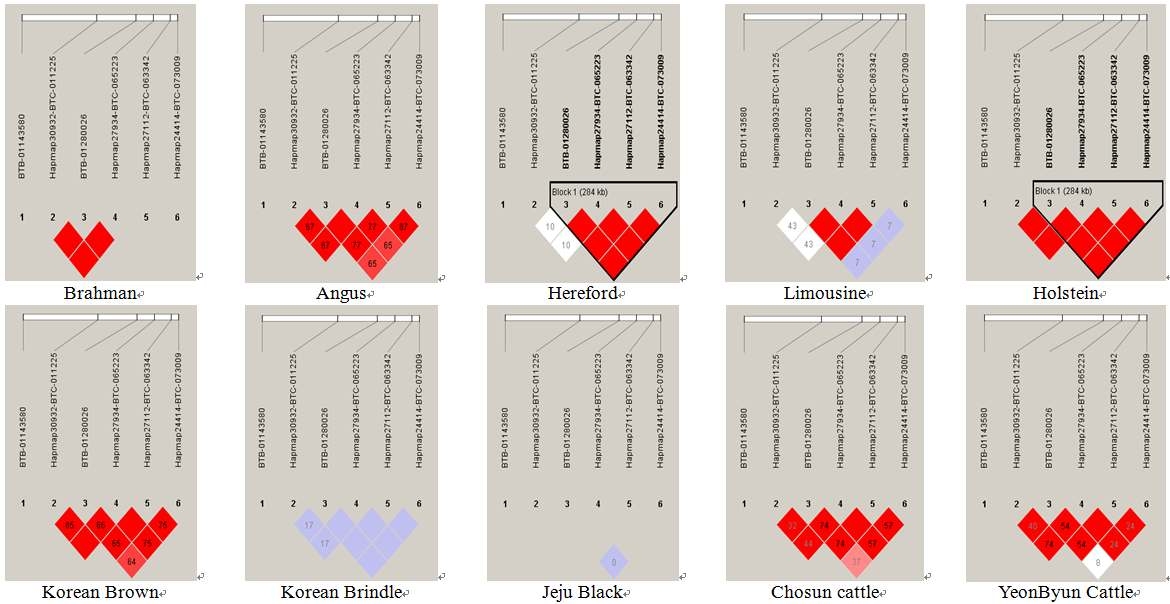 Linkage disequilibrium of the 6 significant SNPs. Linkage disequilibrium pattern between SNPs in the 1.1 Mb BTA14 for the 10 cattle breeds from 5 European and 5 North East Asian area.