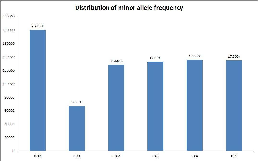 Frequencies of markers by the MAF on 777,962 SNP markers