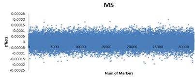 Estimation of SNP effects using BayesB