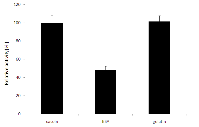 누룩치에서 추출한 crude protease 의 기질특이성