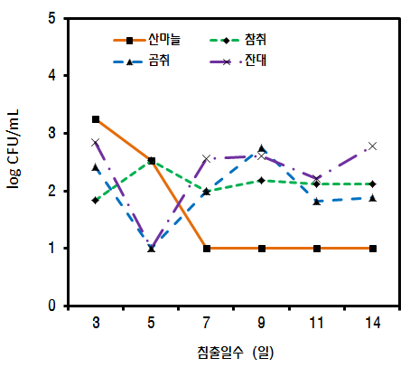 침출일수에 따른 효모균수의 변화