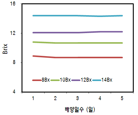 배양일수에 따른 Brix 의 변화