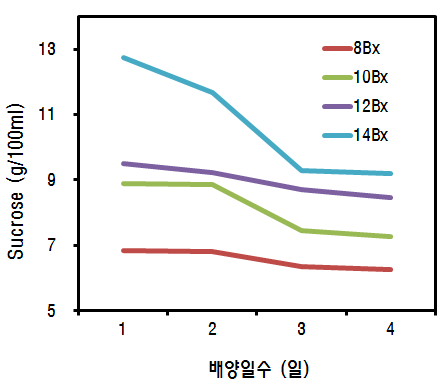 배양일수에 따른 Sucrose의 변화