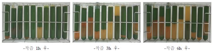 착즙 보존처리첨가제와 착즙후 시간경과에 따른 고상과 액상의 분리