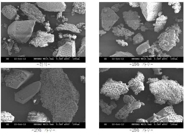 메밀분말의 주사 전자 현미경 사진(×500)