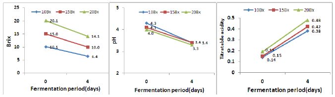 Changes in sugar content, pH and total acidity of fermented extracts of ‘Gaeryangmeoru’ grapes based on the dilution concentration.