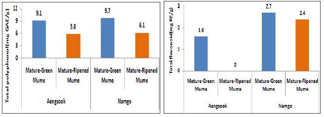 Total polyphenol(left) and flavonoid(right) content of P. mume based on the varieties and mature stage