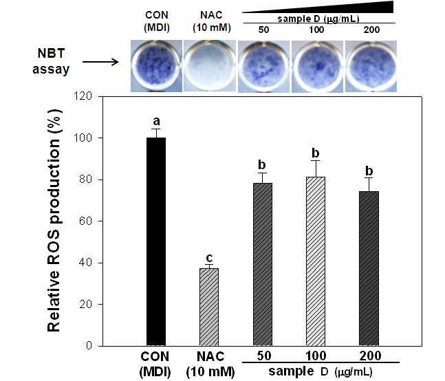 Effect of Crataeg i fructus extract at various concentration on ROS production during differentiation of 3T3-L1 preadipocytes.