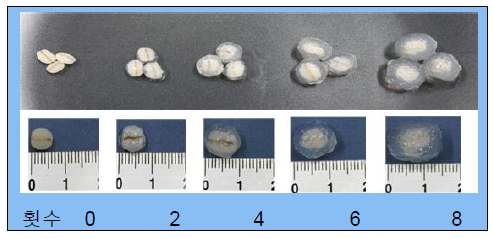 전분에 굴린 횟수에 따른 보리수단의 외형